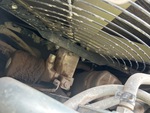 Motor with 