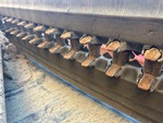 Undercarriage with 