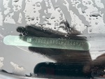 General Appearance with Second Serial Number/VIN Photo