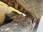 Undercarriage with 