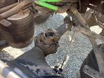 Drivetrain with 