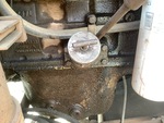 Engine with Oil Leaks