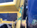 General Appearance with Pintura