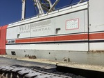 General Appearance with Paint