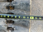 Undercarriage with 