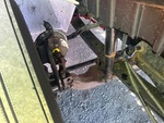 Underbody with 