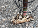 Undercarriage with 