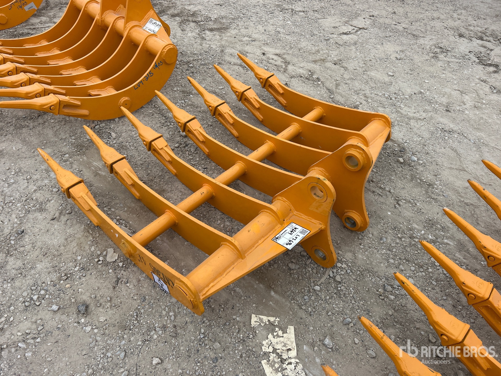 General Appearance with Foto, angolo posteriore sinistro