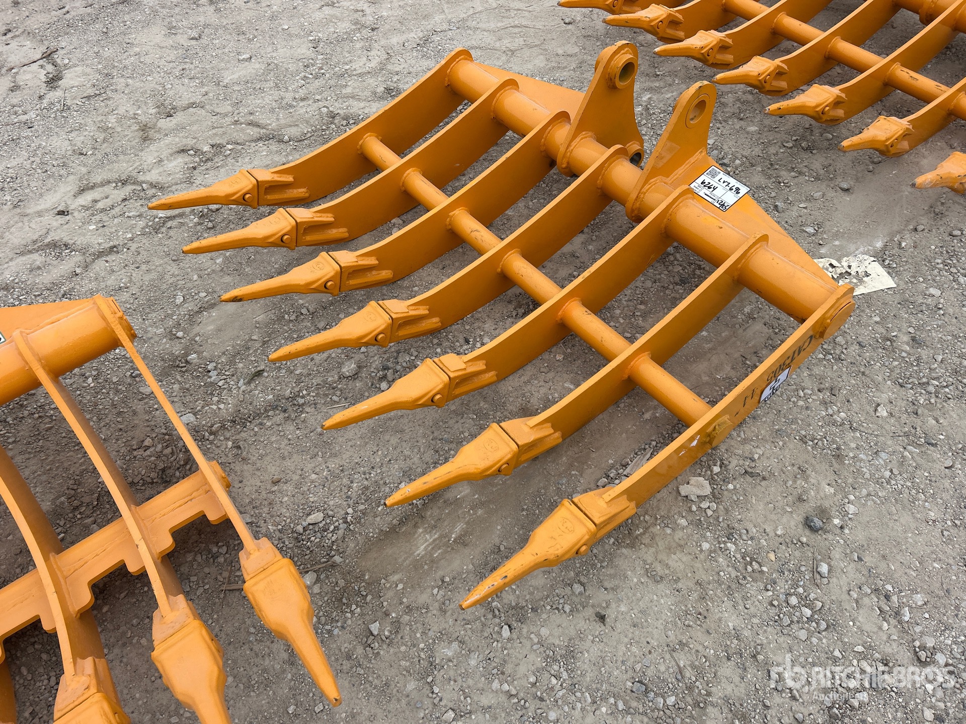 General Appearance with Foto, angolo anteriore sinistro