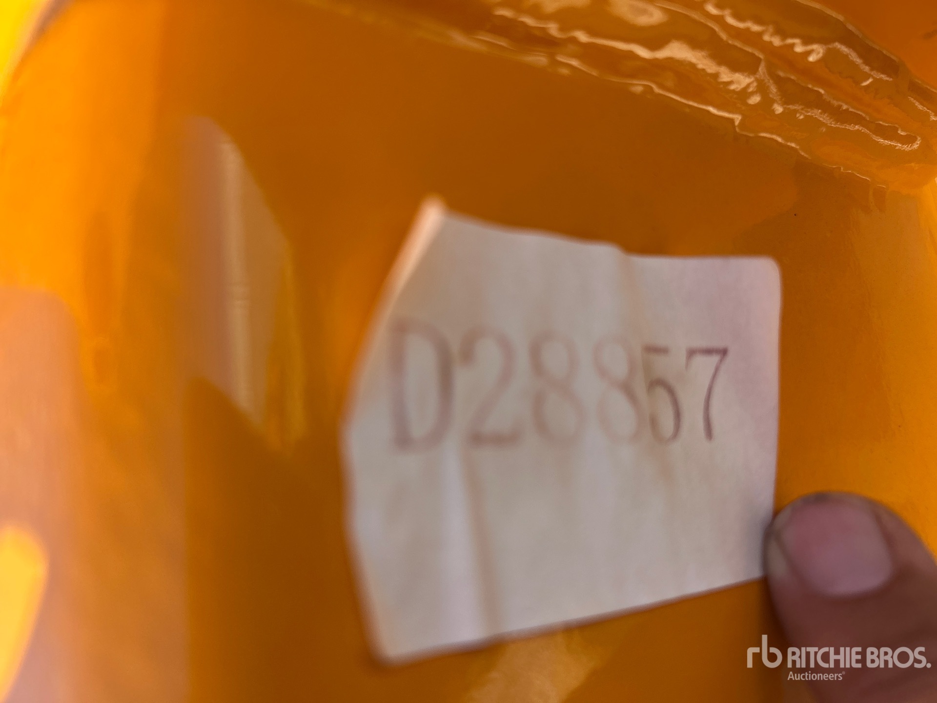 General Appearance with Numero seriale/numero d’identificazione del veicolo (VIN)