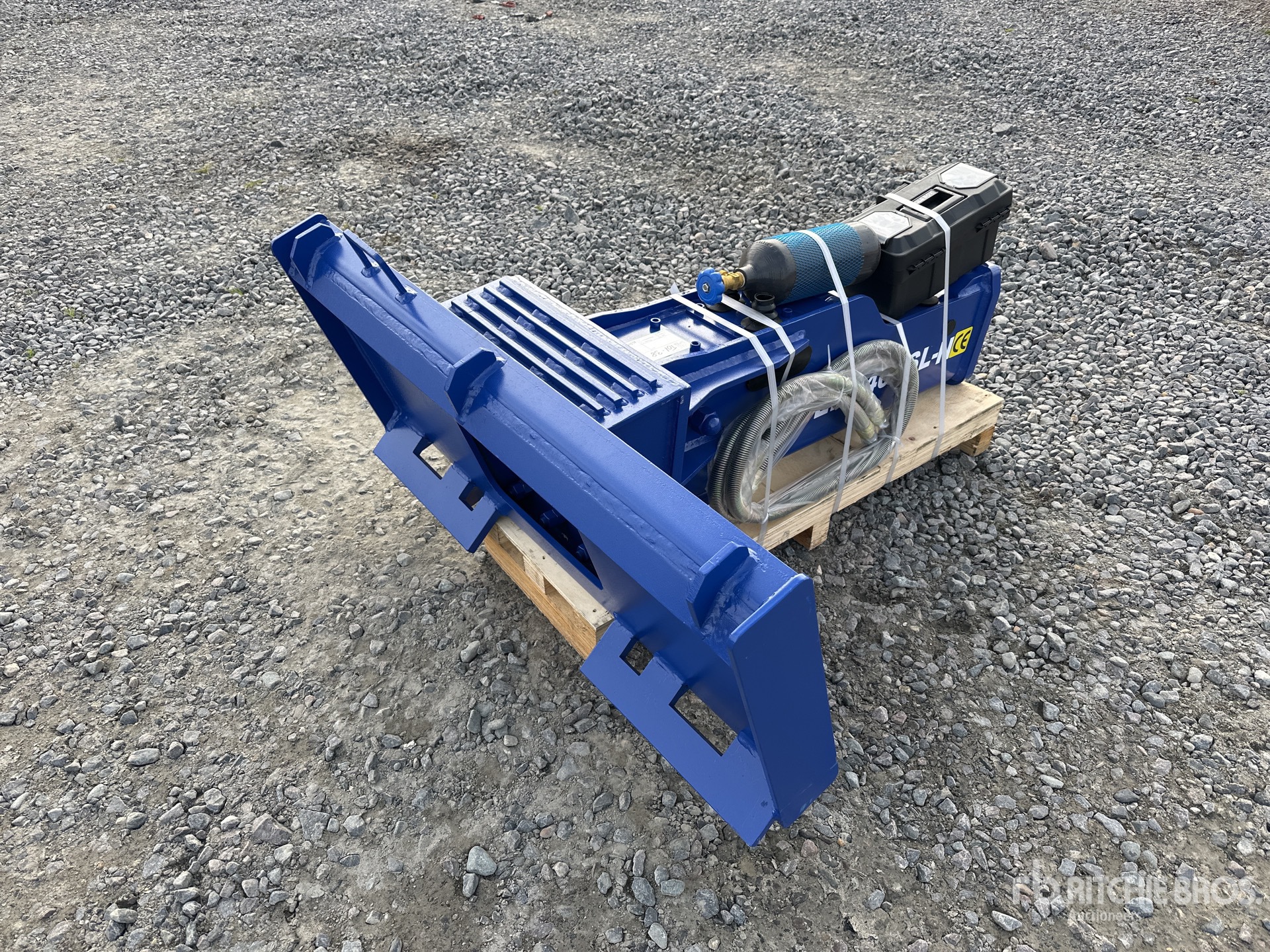 General Appearance with Image, coin arrière droit