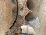 Undercarriage with 