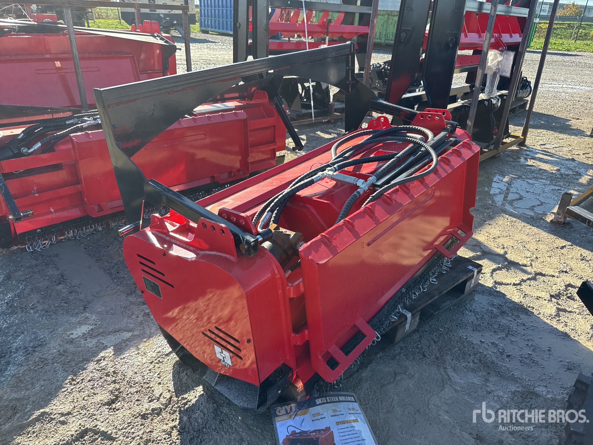 General Appearance with 