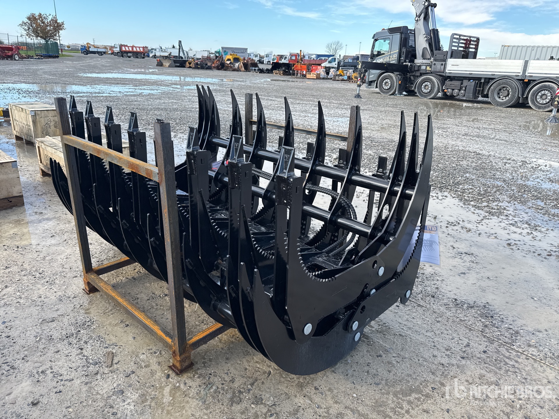 General Appearance with 