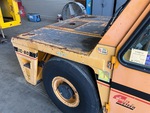 General Appearance with Paint