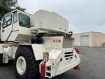 General Appearance with Paint