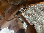 Chassis with Steering Linkage