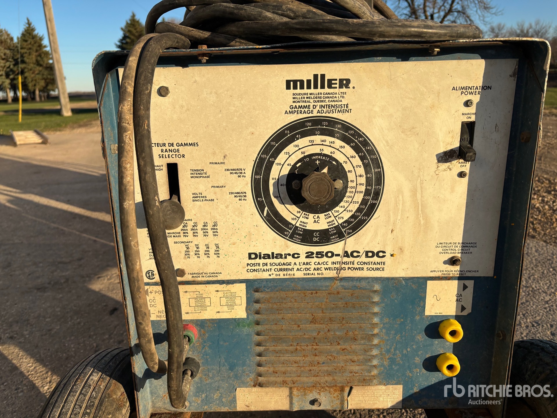 General Appearance with 