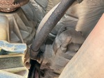 Underbody with 
