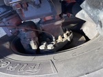 Brakes with 