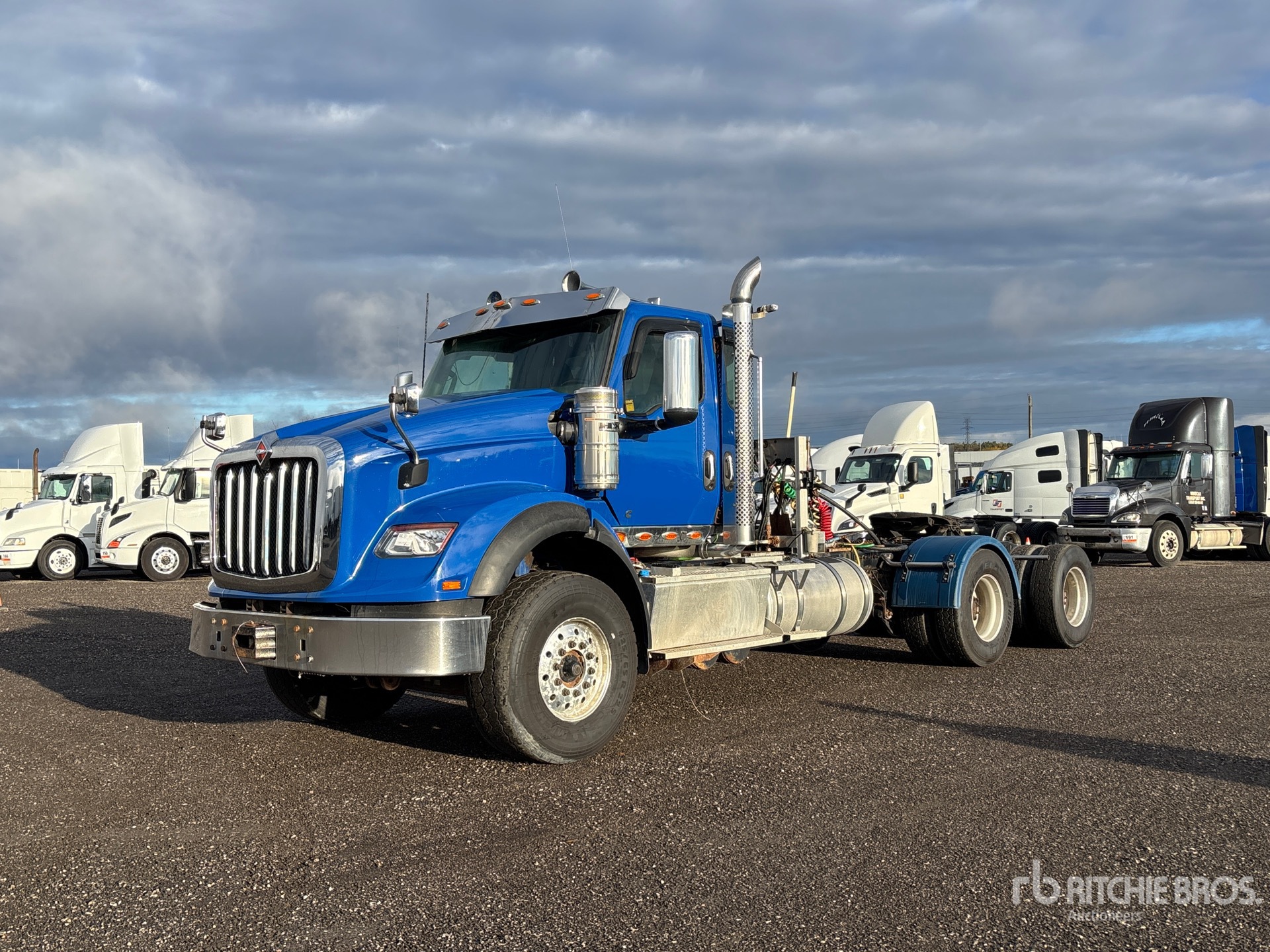 General Appearance with Spin