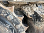 Undercarriage with 