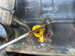 Motor with 