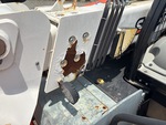 General Appearance with Paint
