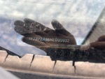 General Appearance with Second Serial Number/VIN Photo