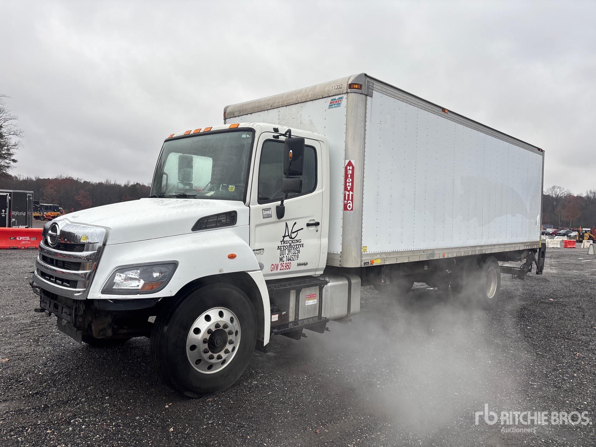 General Appearance with Spin