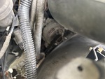 Motore with 
