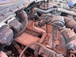 Engine with Exhaust System