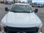 General Appearance with Paint