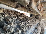 Undercarriage with 