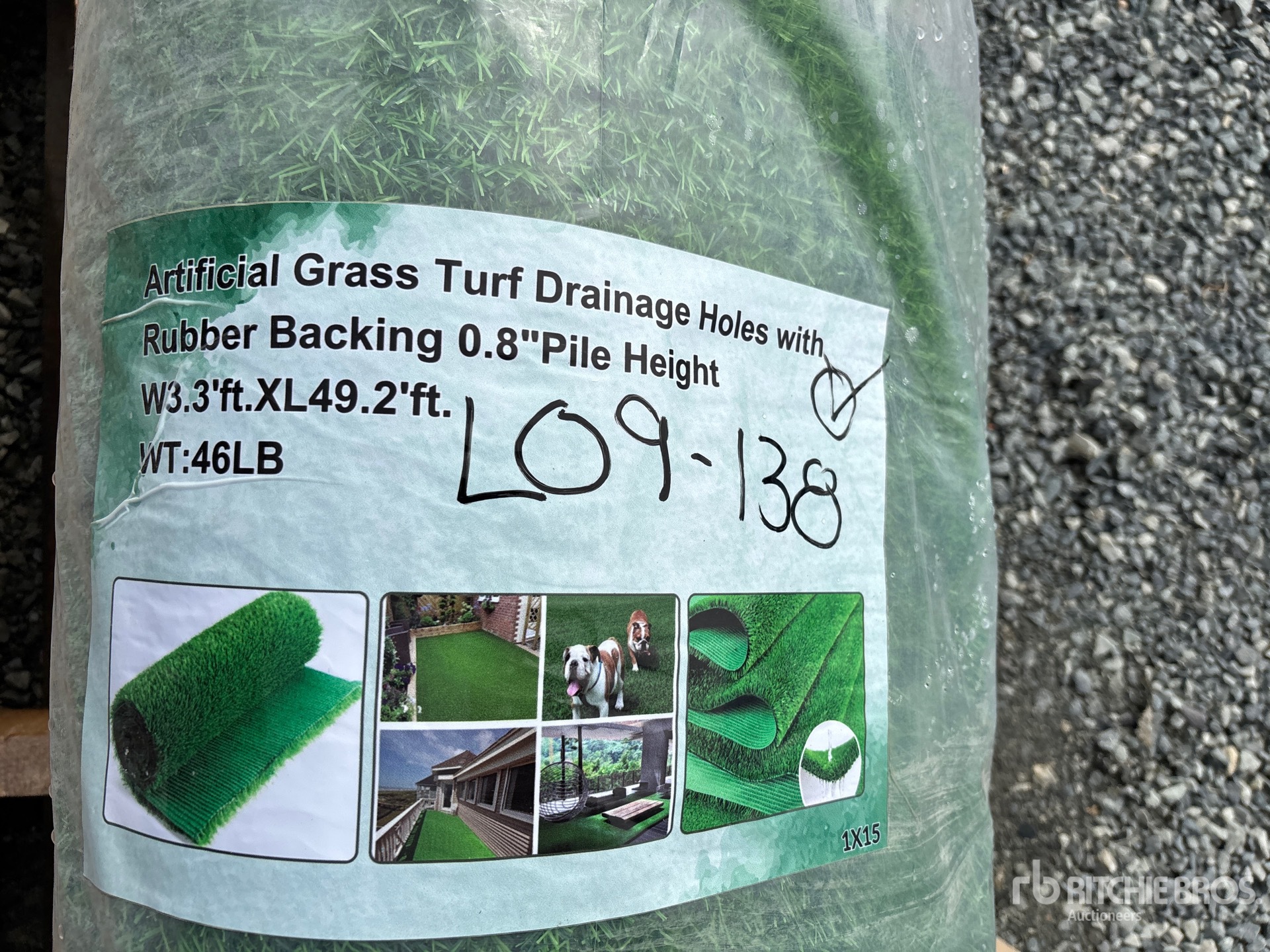 General Appearance with 