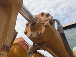 Hydraulics with 