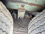 Trailer Chassis with 