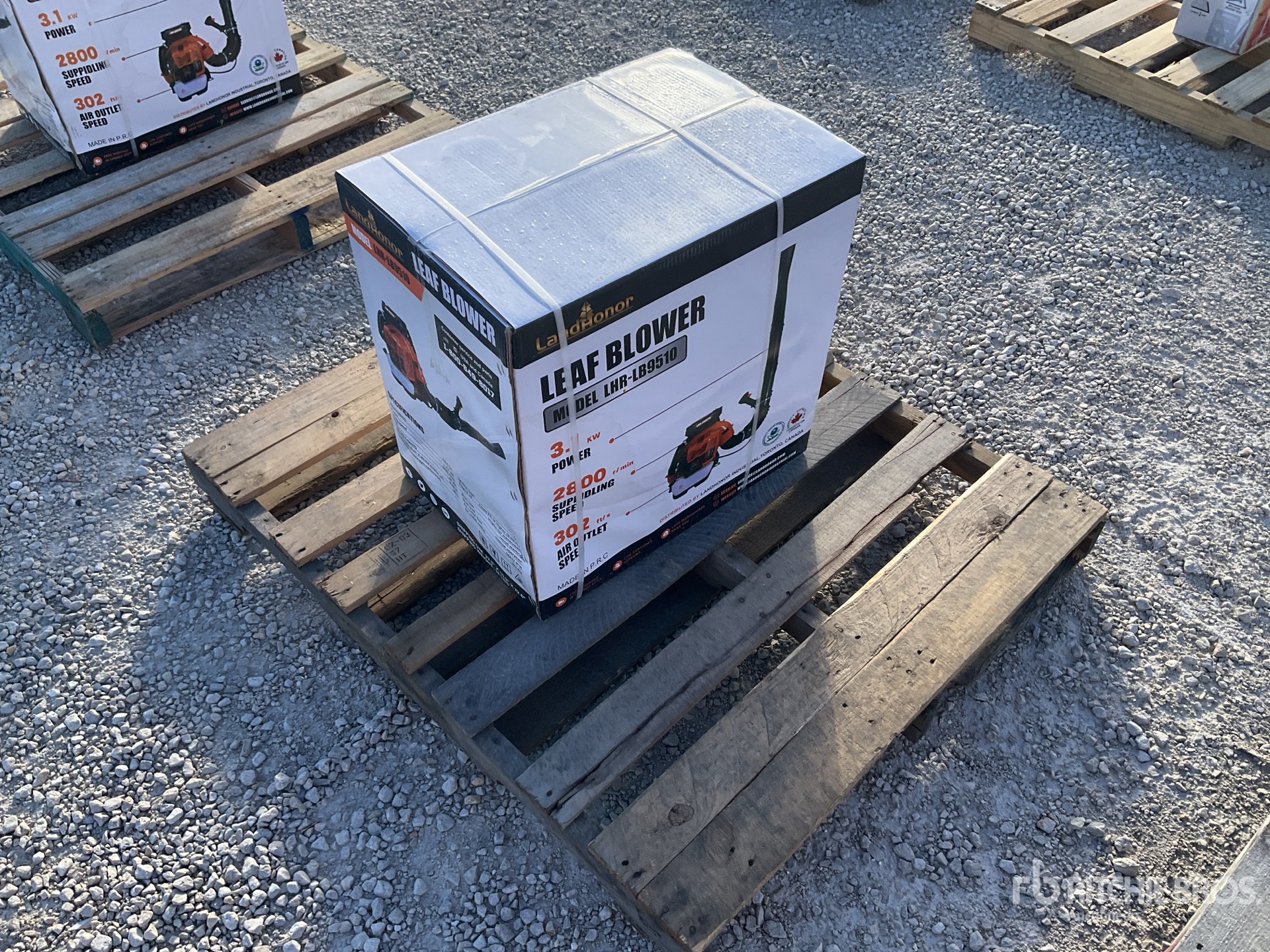 General Appearance with Foto, angolo posteriore sinistro