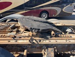 4 Underbody - Truck with 