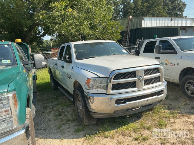 bilder & videofilmer