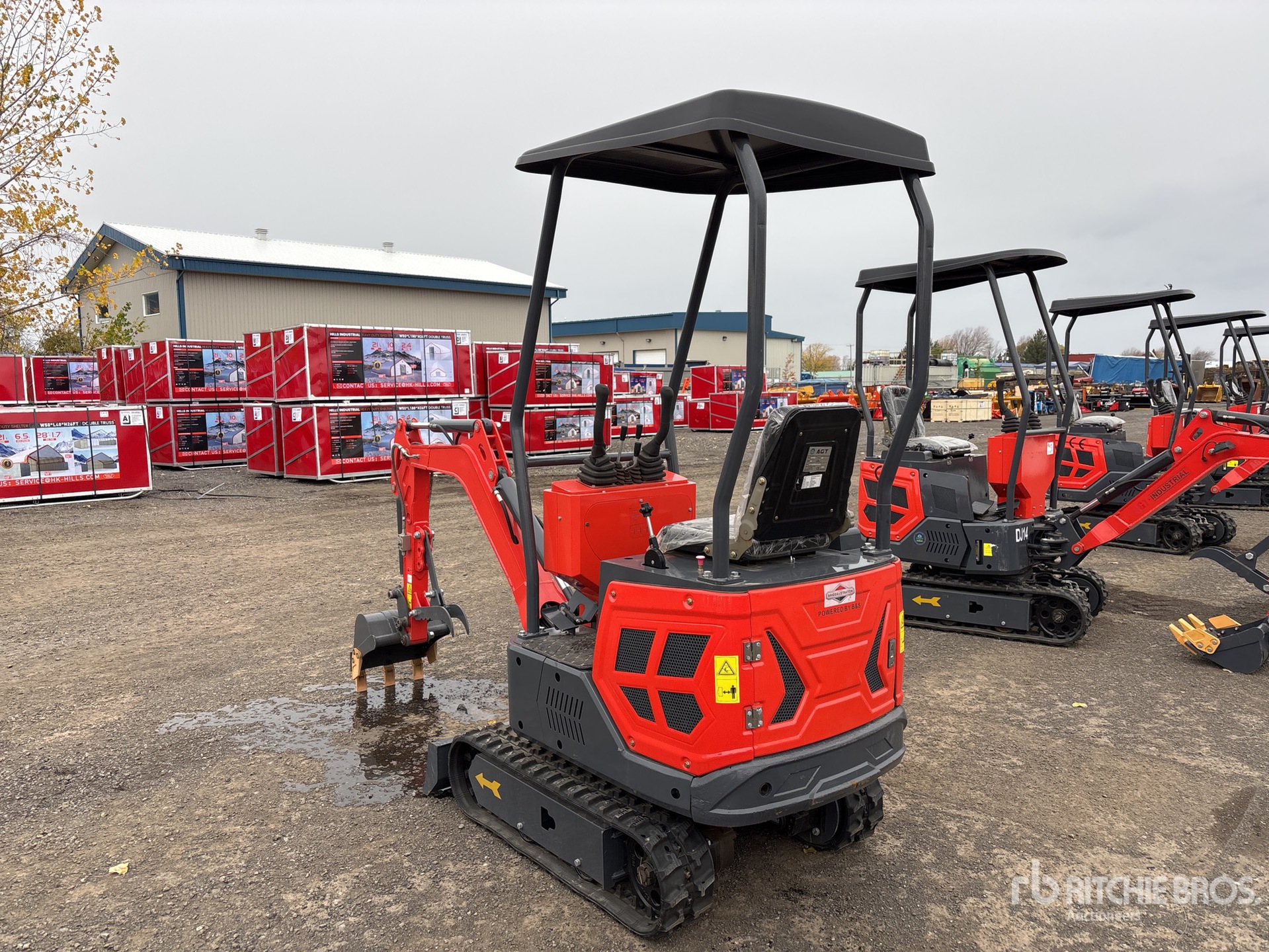 General Appearance with Zdjęcie, lewy dolny róg