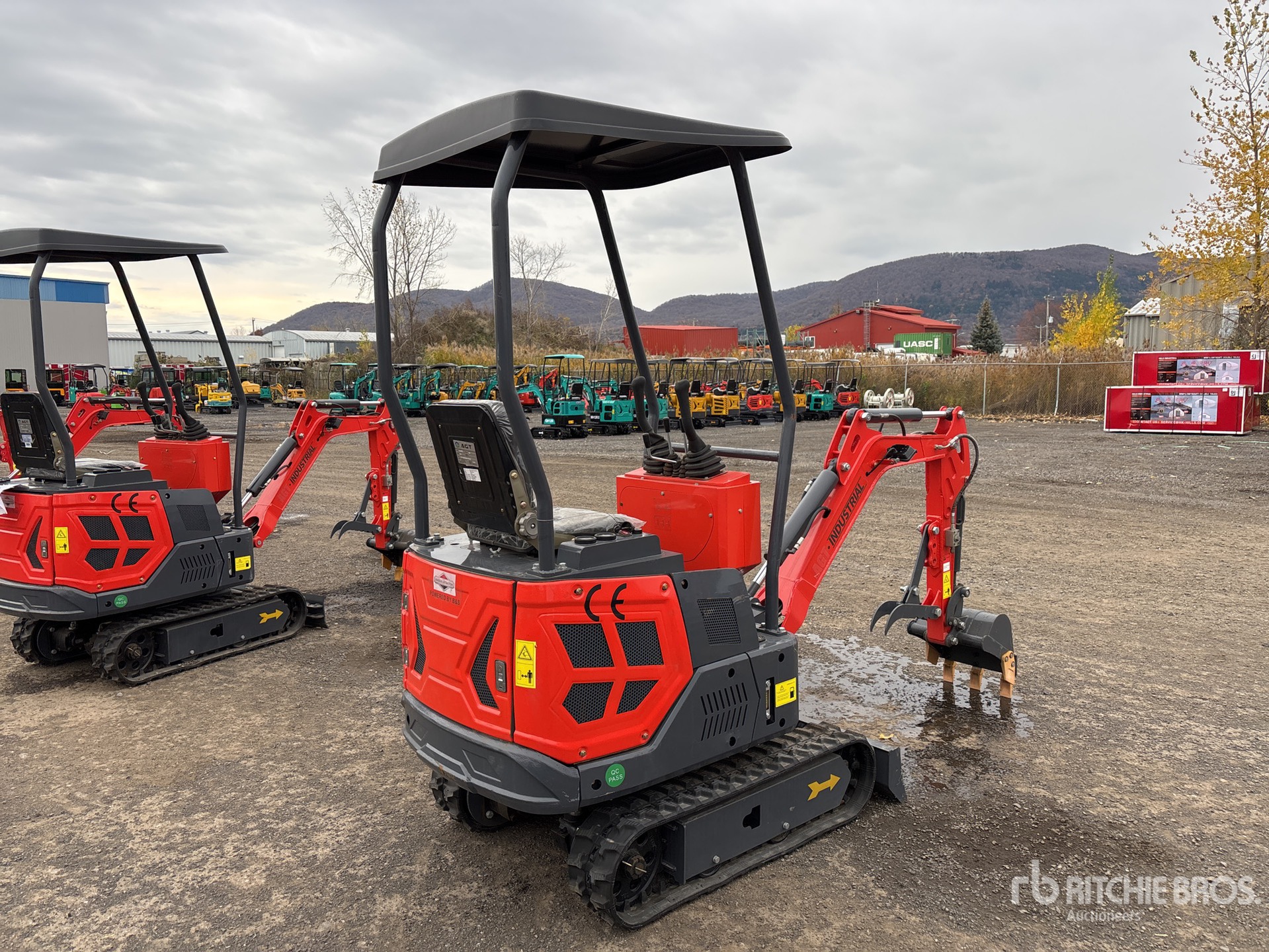 General Appearance with Zdjęcie, prawy dolny róg