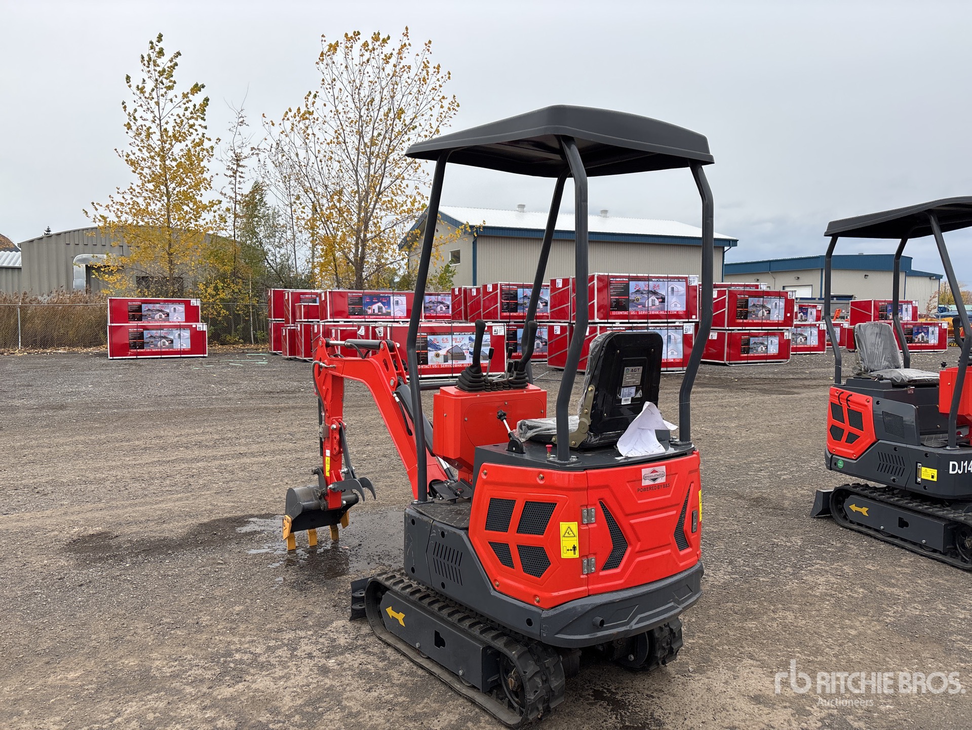 General Appearance with Zdjęcie, lewy dolny róg