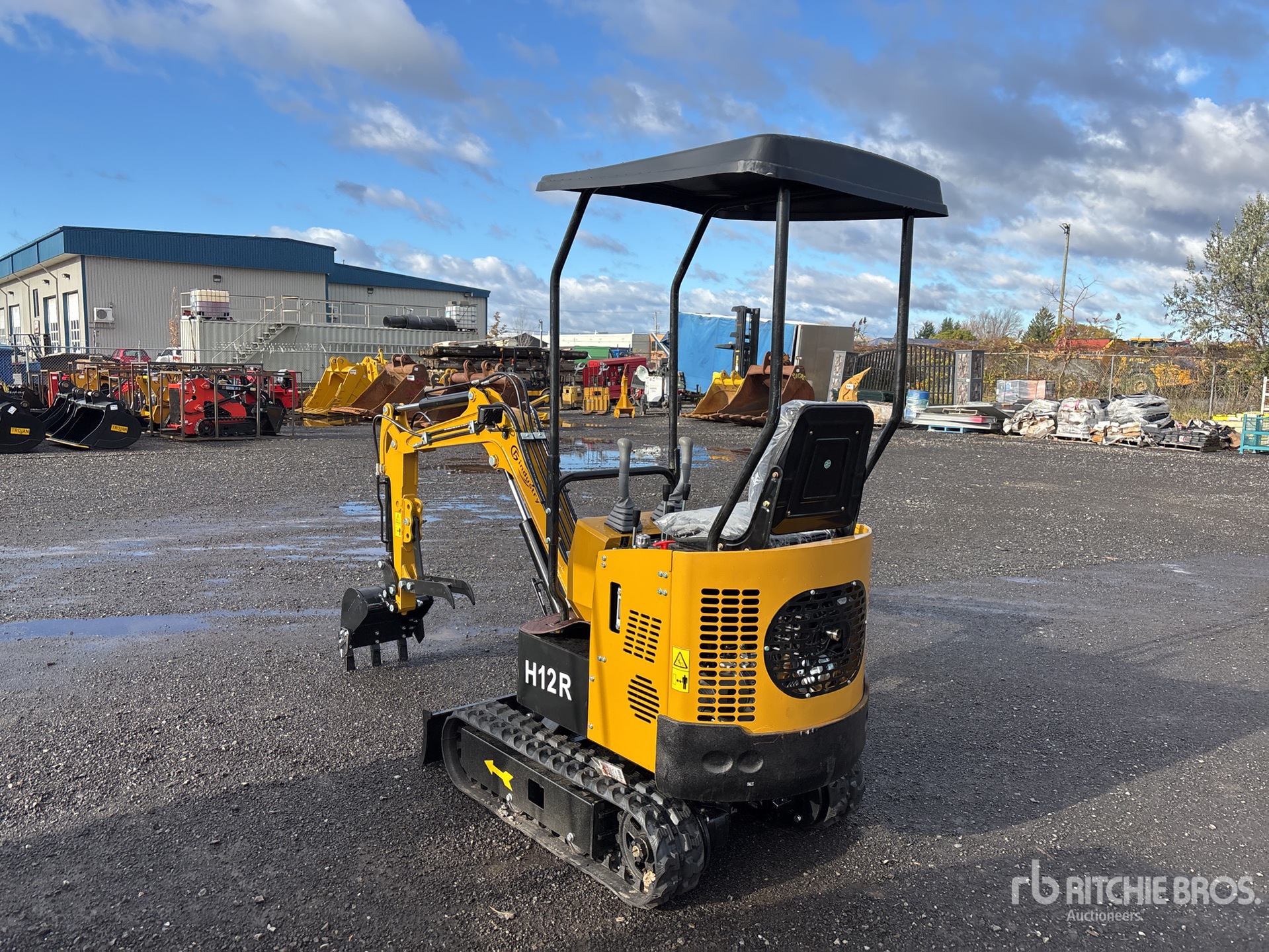 General Appearance with Zdjęcie, lewy dolny róg