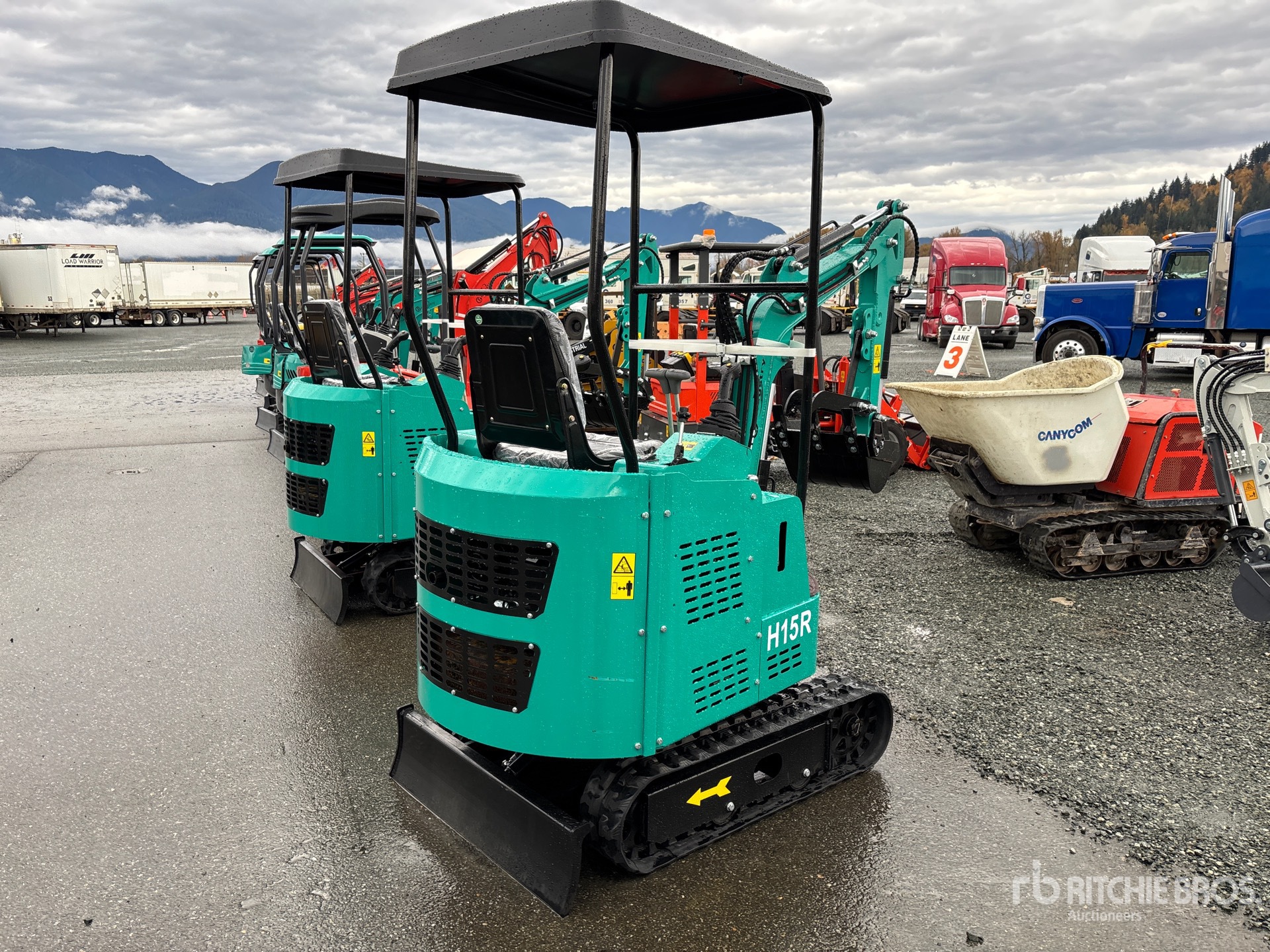 General Appearance with Zdjęcie, prawy dolny róg