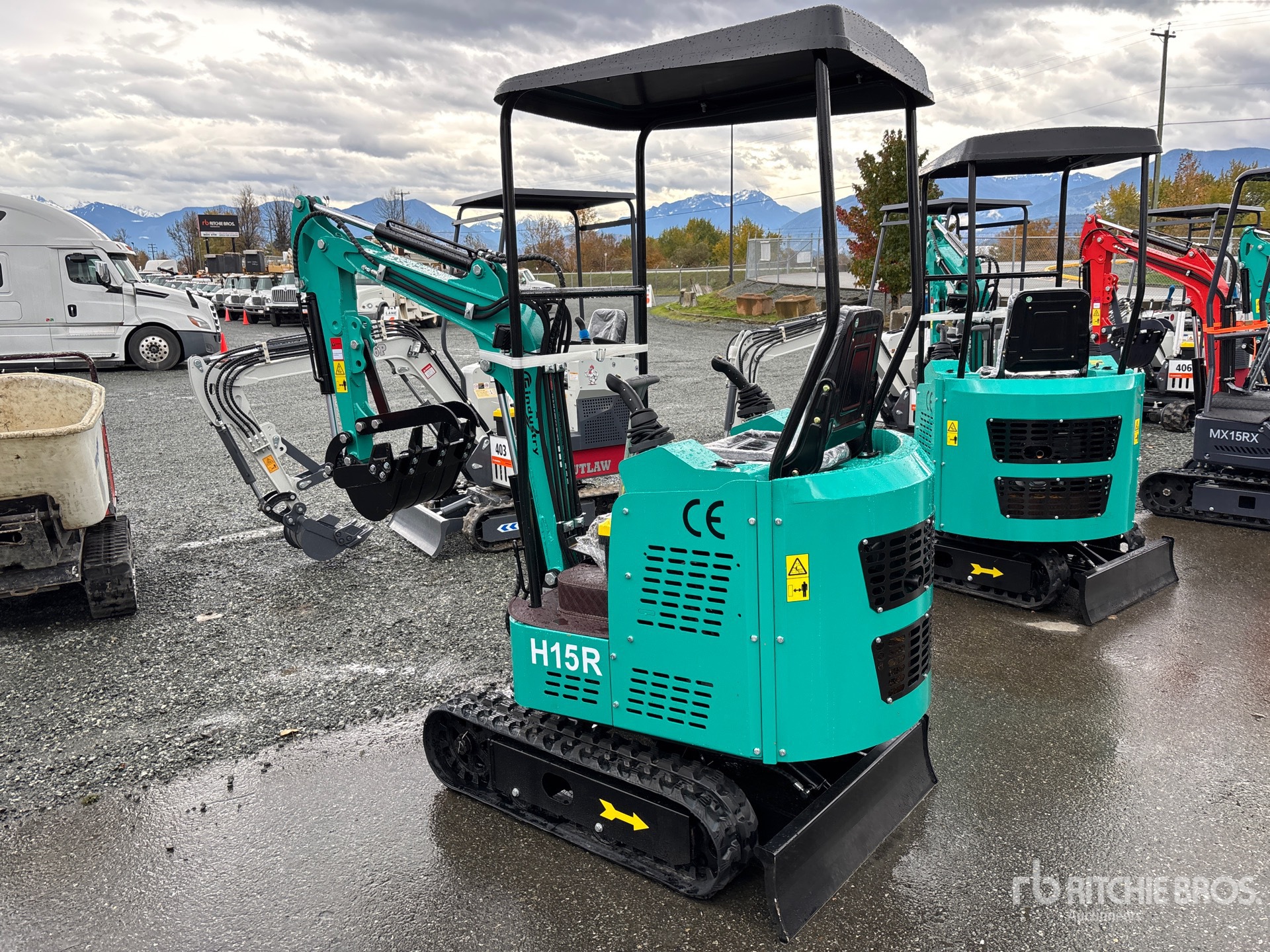 General Appearance with Zdjęcie, lewy dolny róg