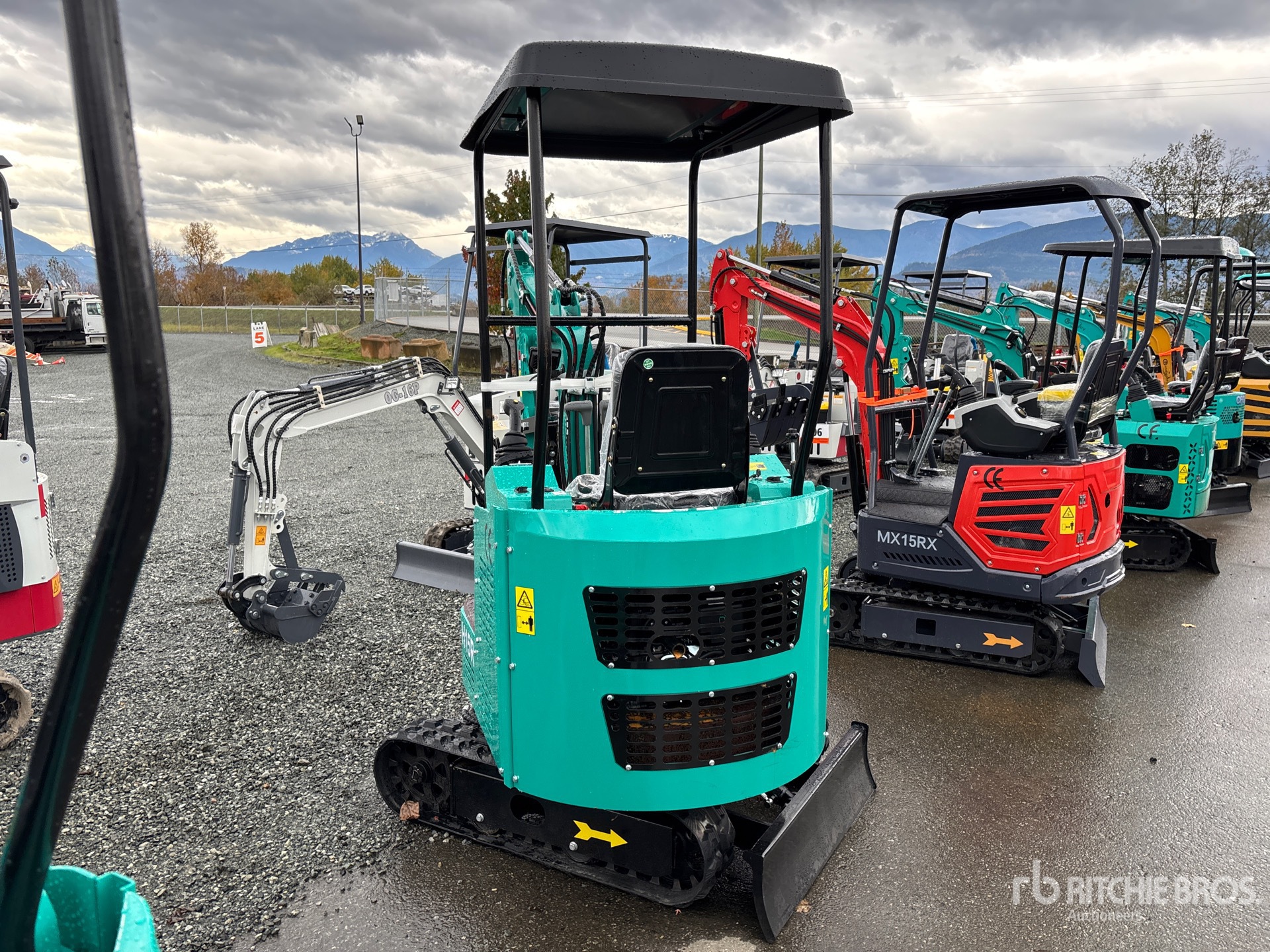 General Appearance with Zdjęcie, lewy dolny róg