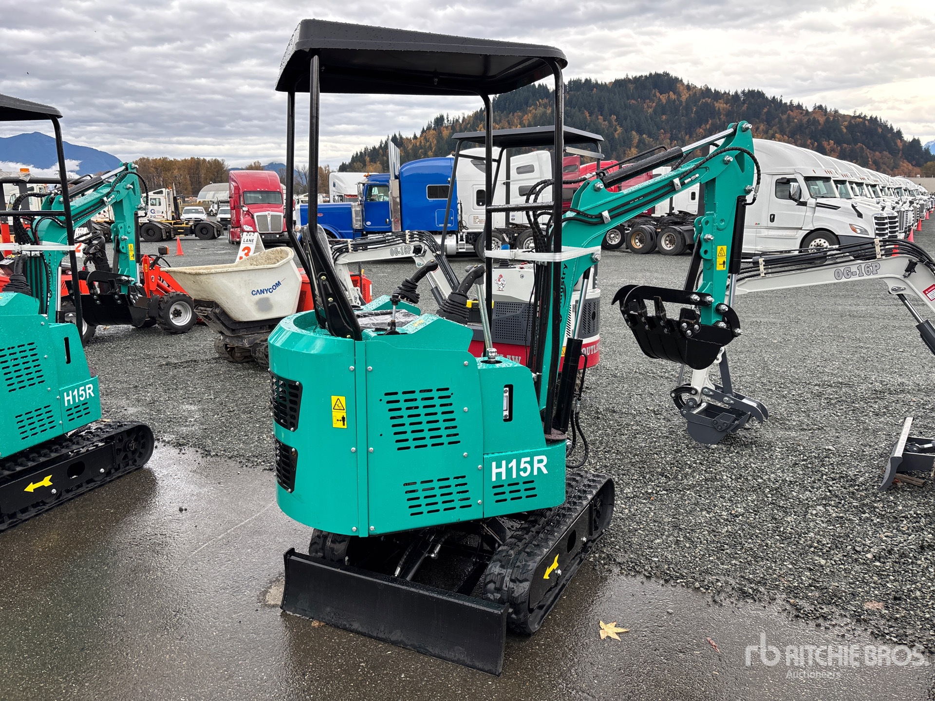 General Appearance with Zdjęcie, prawy dolny róg