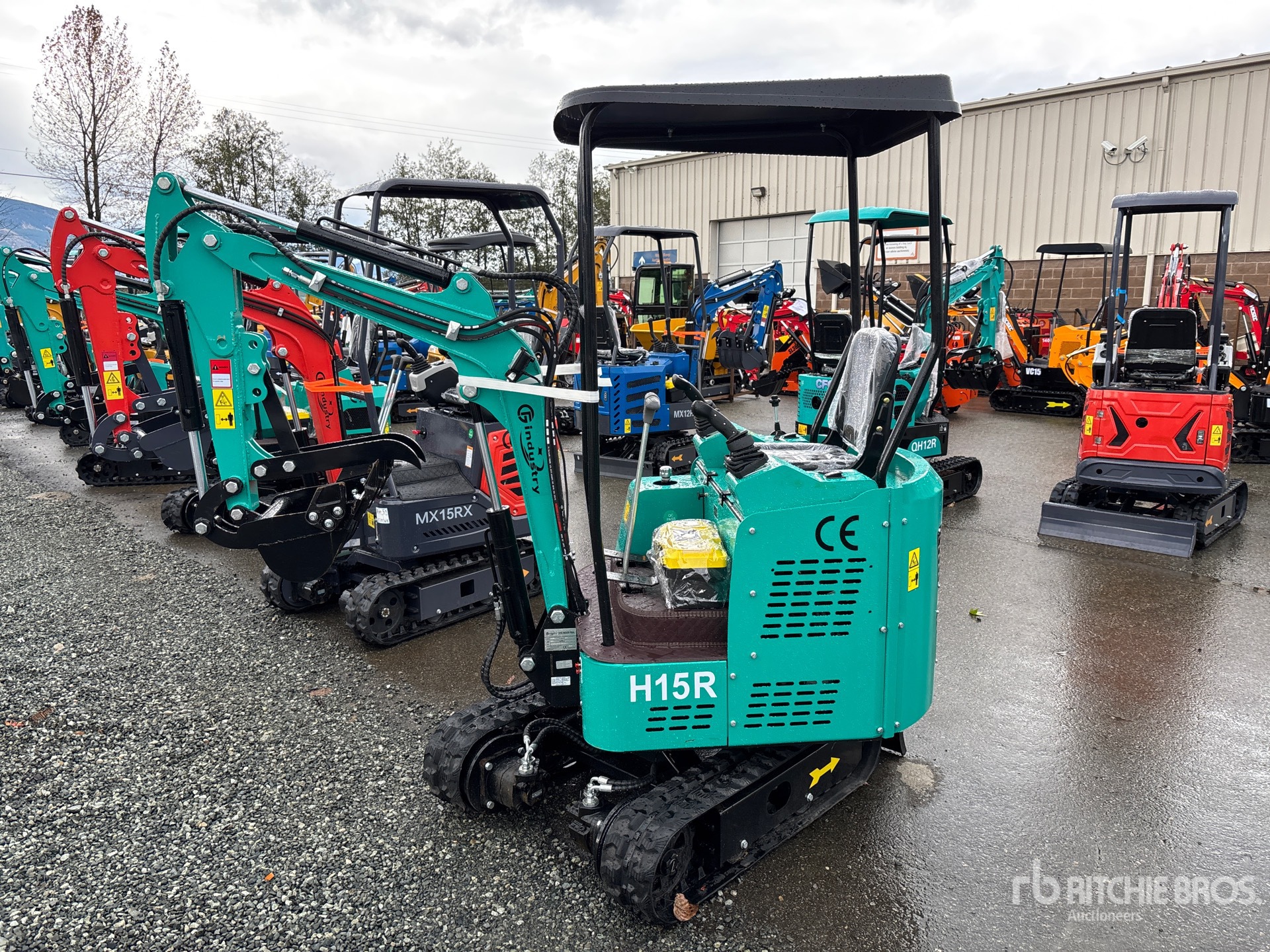 General Appearance with Zdjęcie, lewy górny róg