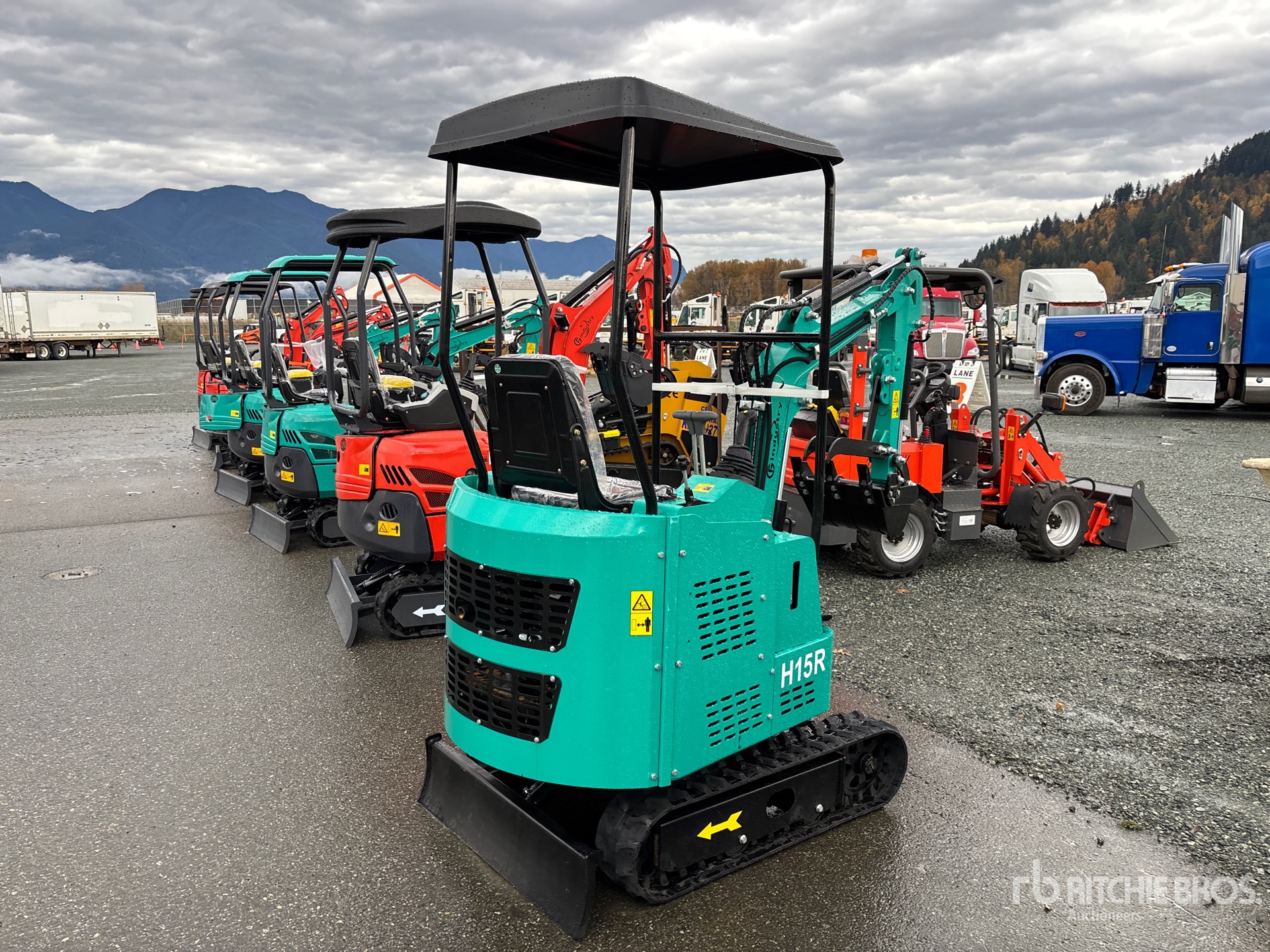 General Appearance with Zdjęcie, prawy dolny róg